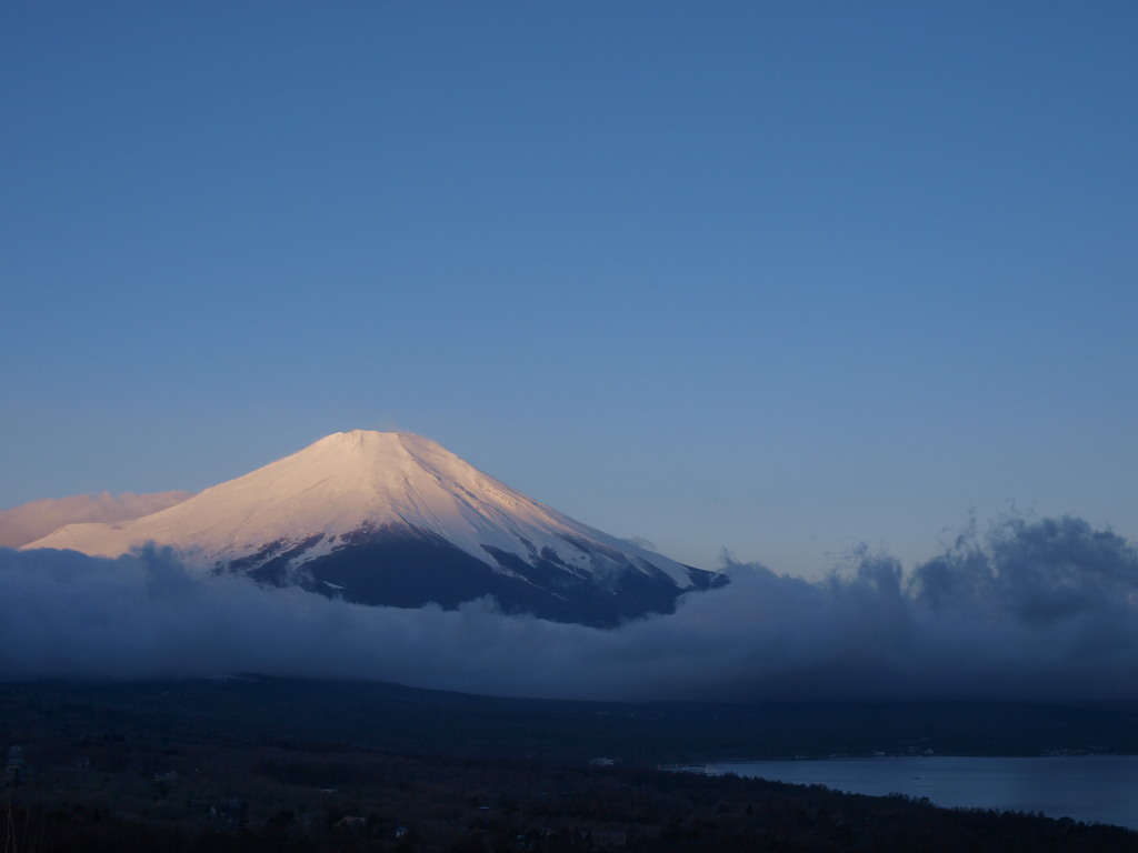 2/25 �_�ƕx�m�R