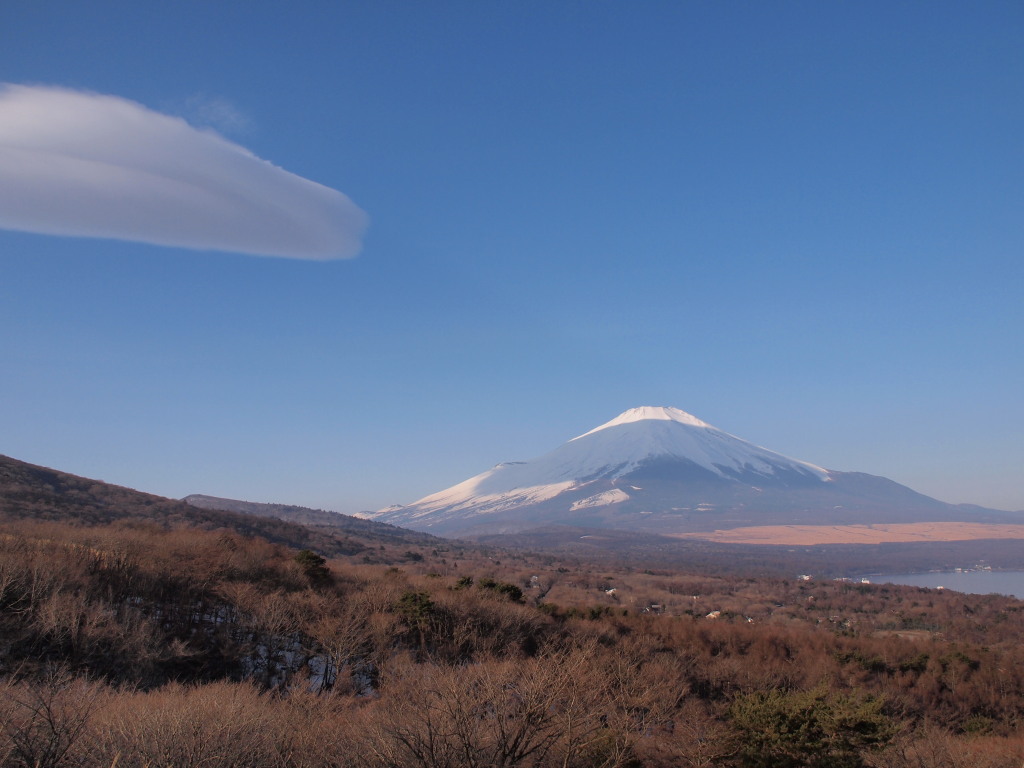 2/27 �R���������x�m�R(����)