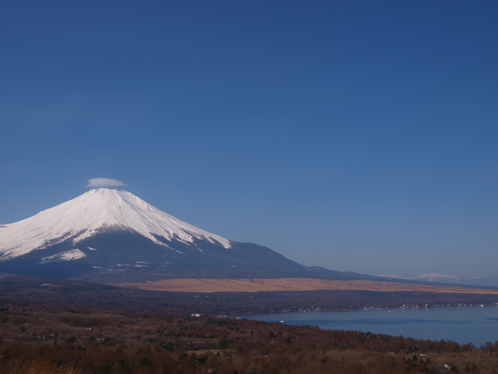 2/27 �����ȎP�_�ƕx�m�R