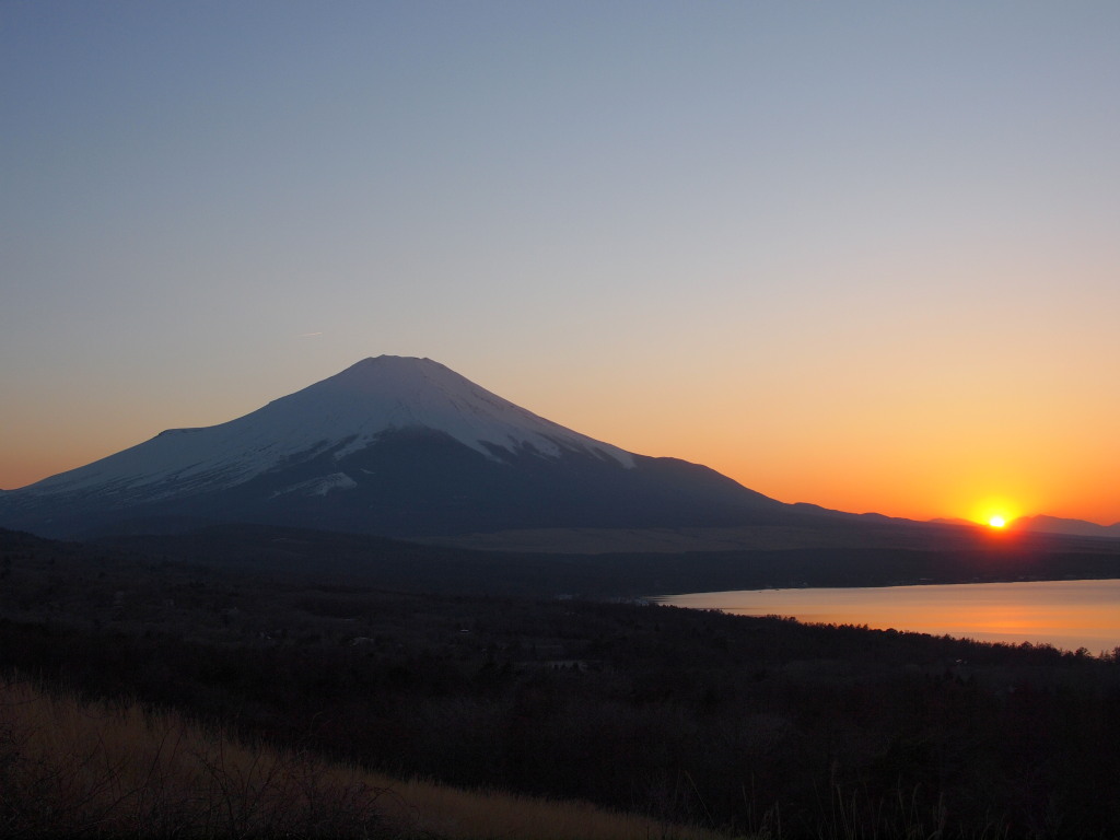 4/5 ���̓���̕x�m�R