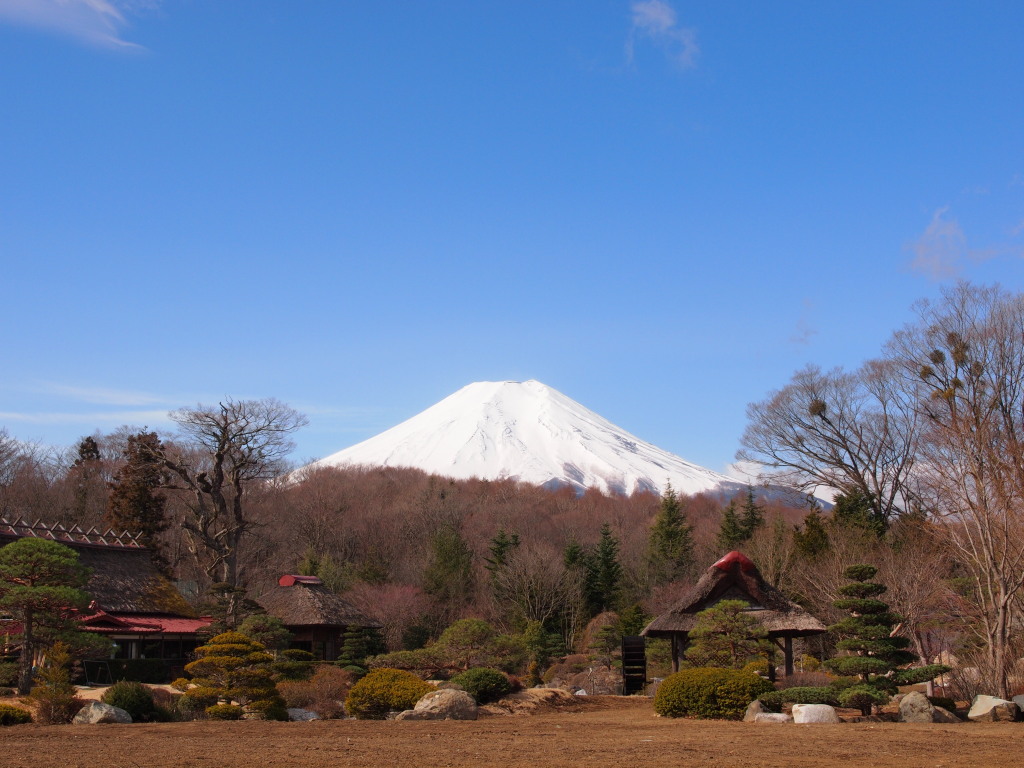 4/8 �E�삩��̕x�m�R