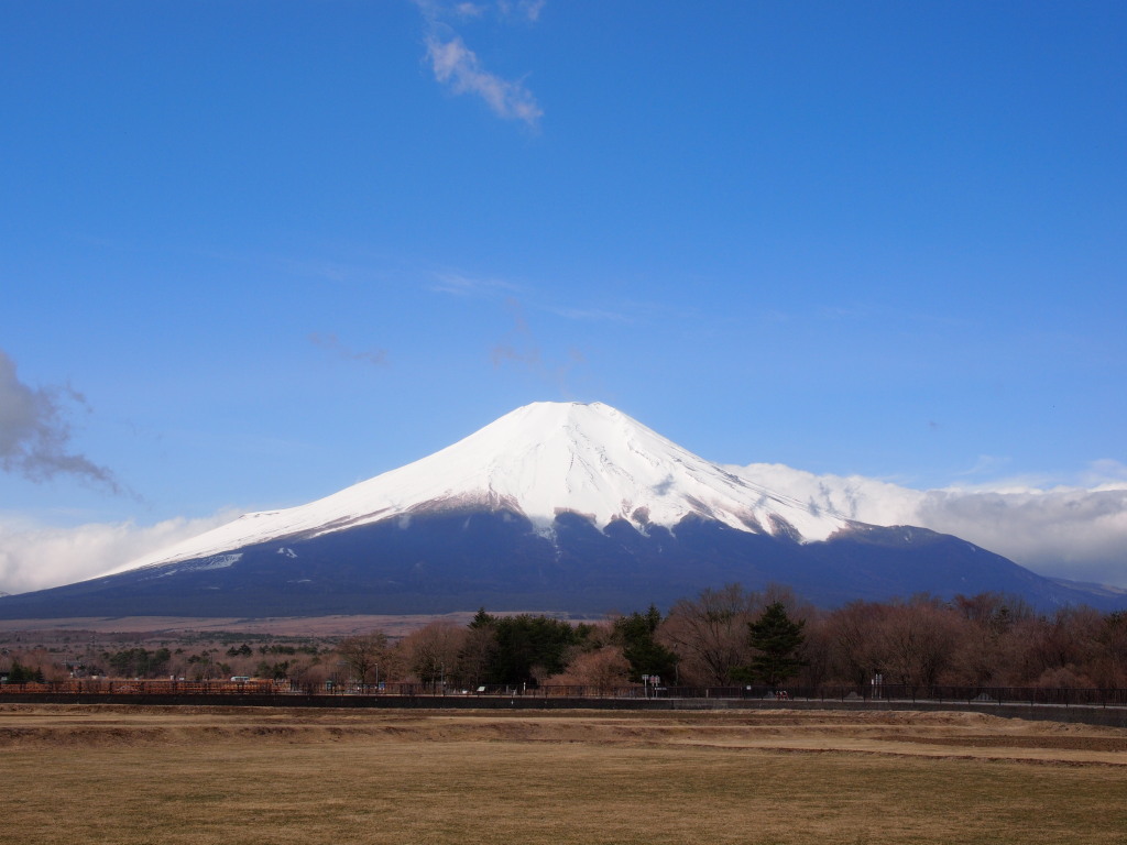 4/8 �Ԃ̓s��������̕x�m�R