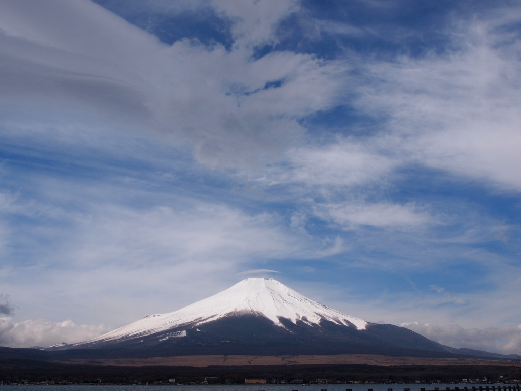 4/8 �������P�_�ƕx�m�R