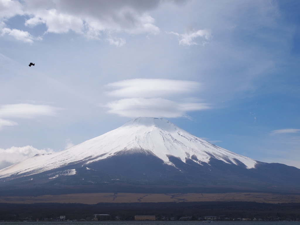 4/8 �l�i�P�_�ƕx�m�R