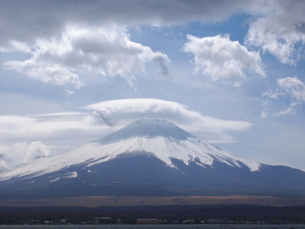 4/8 �傫�ȎP�_�ƕx�m�R