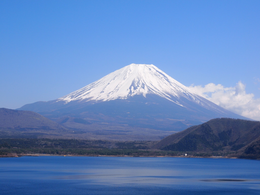 4/12 �����̃x�X�g�V���b�g�̕x�m�R