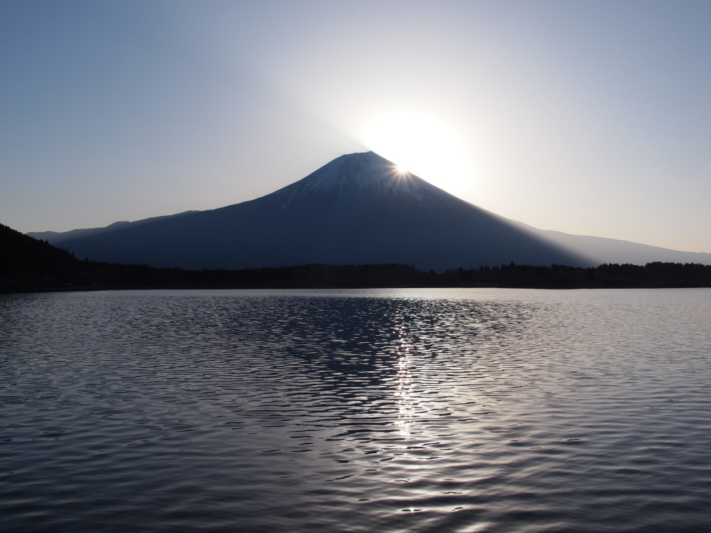 4/13 �c�ь΂���̓��̏o�ƕx�m�R