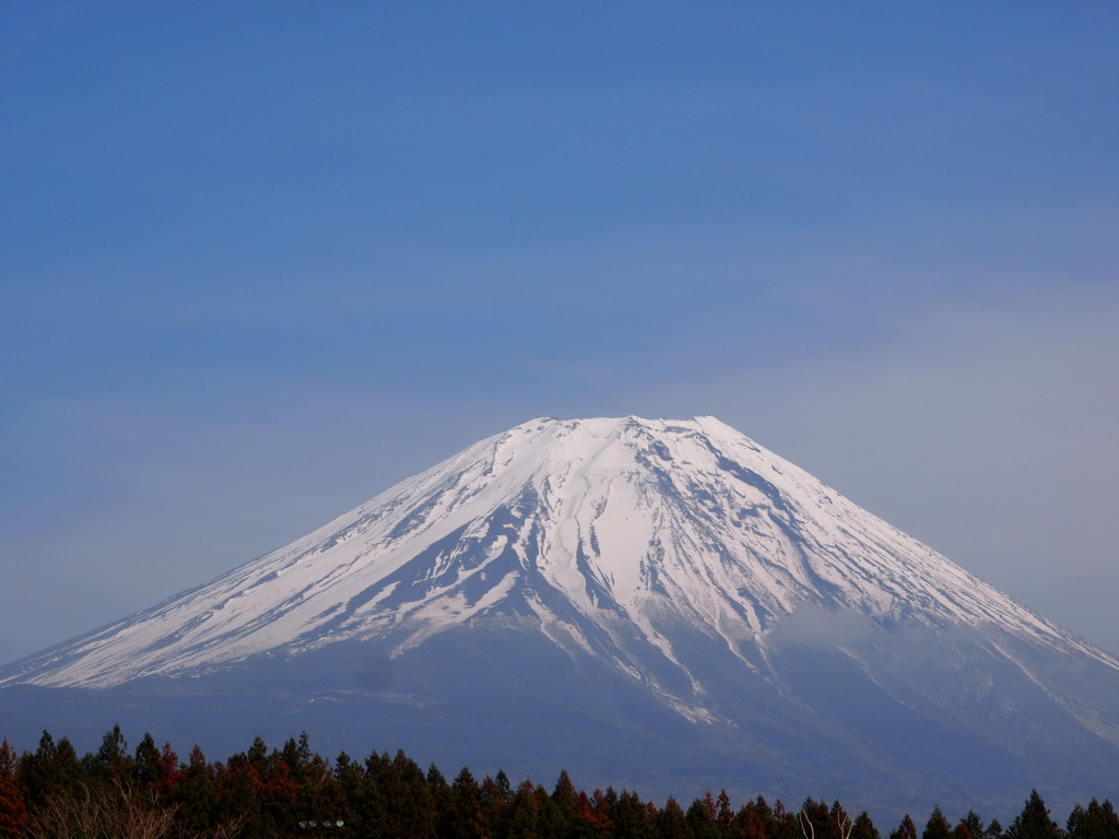 4/17 �������̉w����̕x�m�R