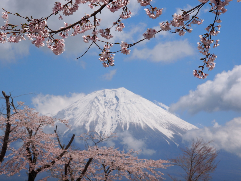 4/19 �J�オ��̍��ƕx�m�R