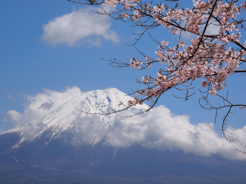 4/19 �J�オ��̍��ƕx�m�R(2)