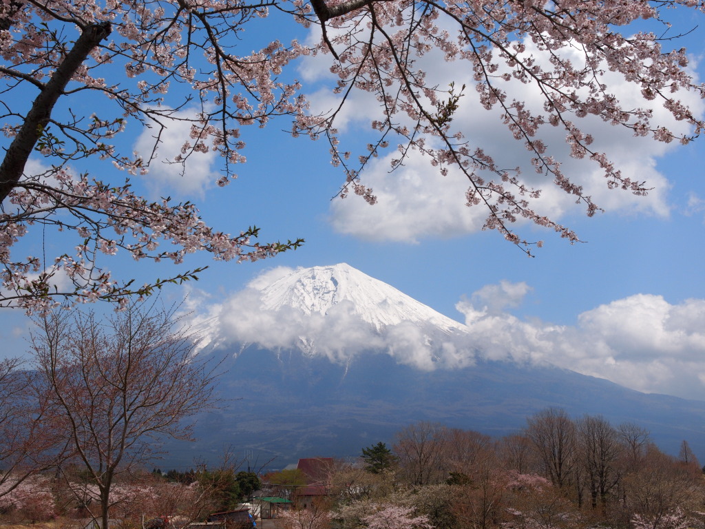 4/19 �J�オ��̍��ƕx�m�R(3)