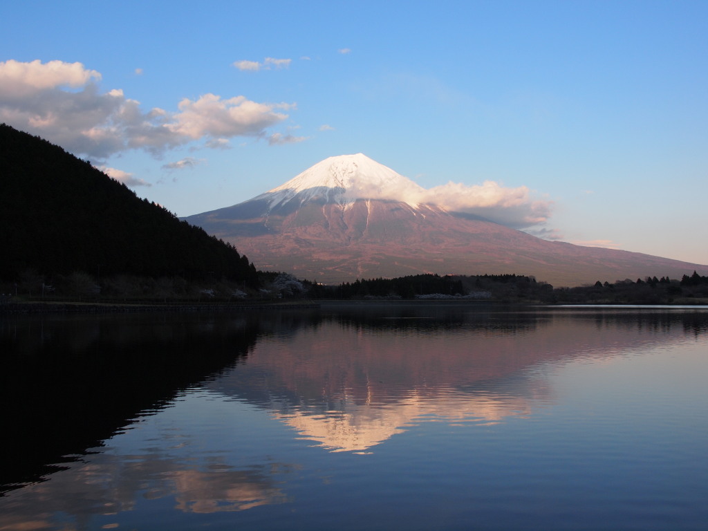 4/19 ���ꂢ�ȋt���x�m