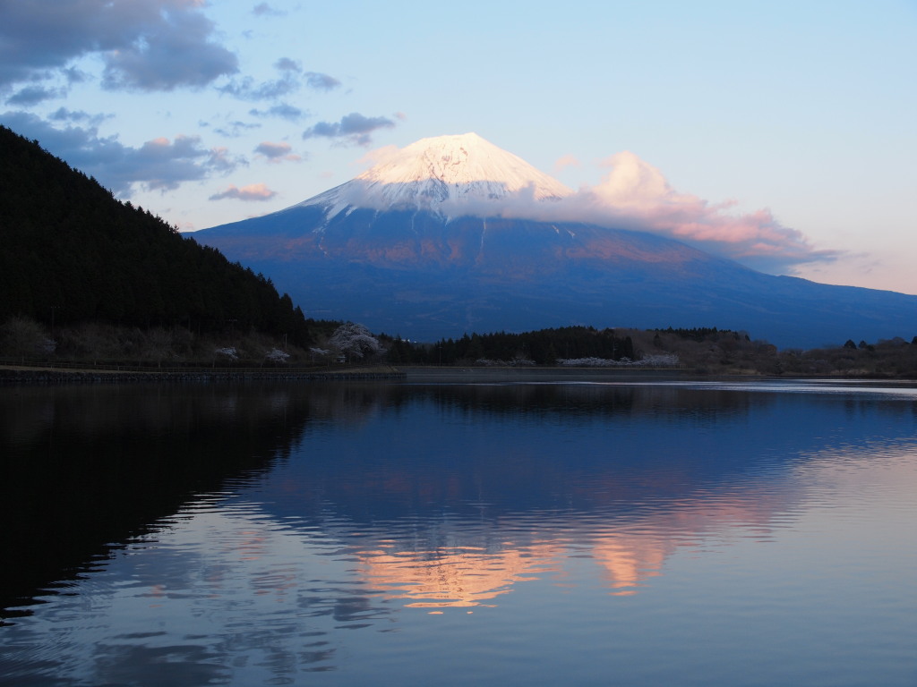 4/19 �[�Ă��O�̋t���x�m