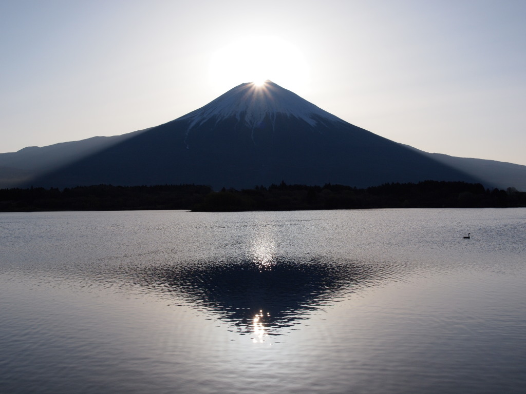 4/24 �_�C�������h�x�m