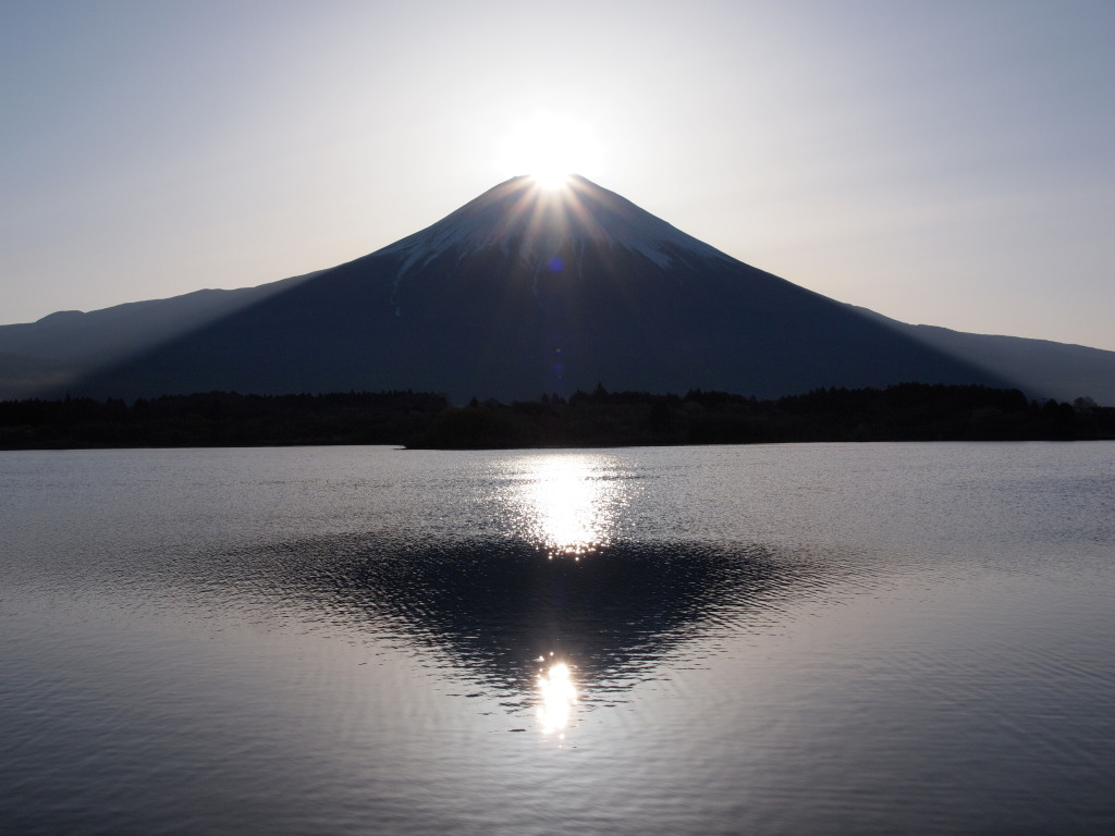 4/24 �_�C�������h�x�m(2)