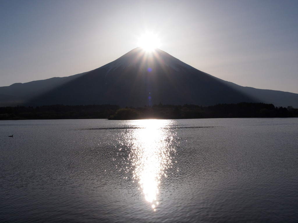 4/24 �_�C�������h�x�m(3)