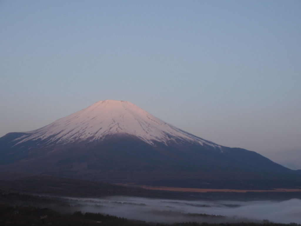 5/8 ���Ă��̕x�m�R