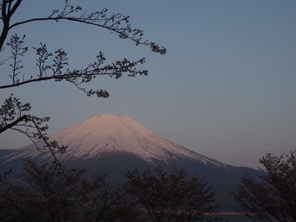 5/8 ���ƒ��Ă��̕x�m�R