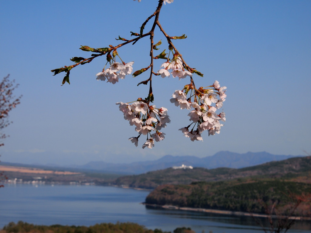 5/8 �R���΂̍�(2)