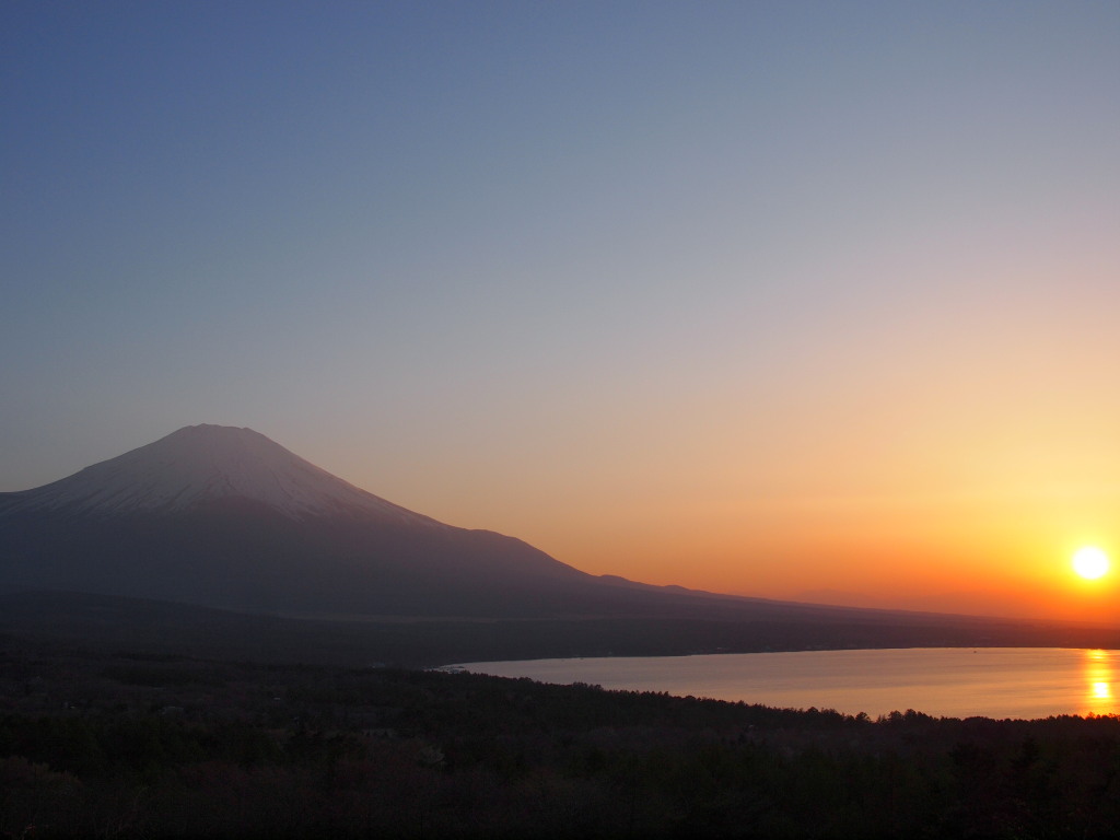 5/8 ���̓���̕x�m�R