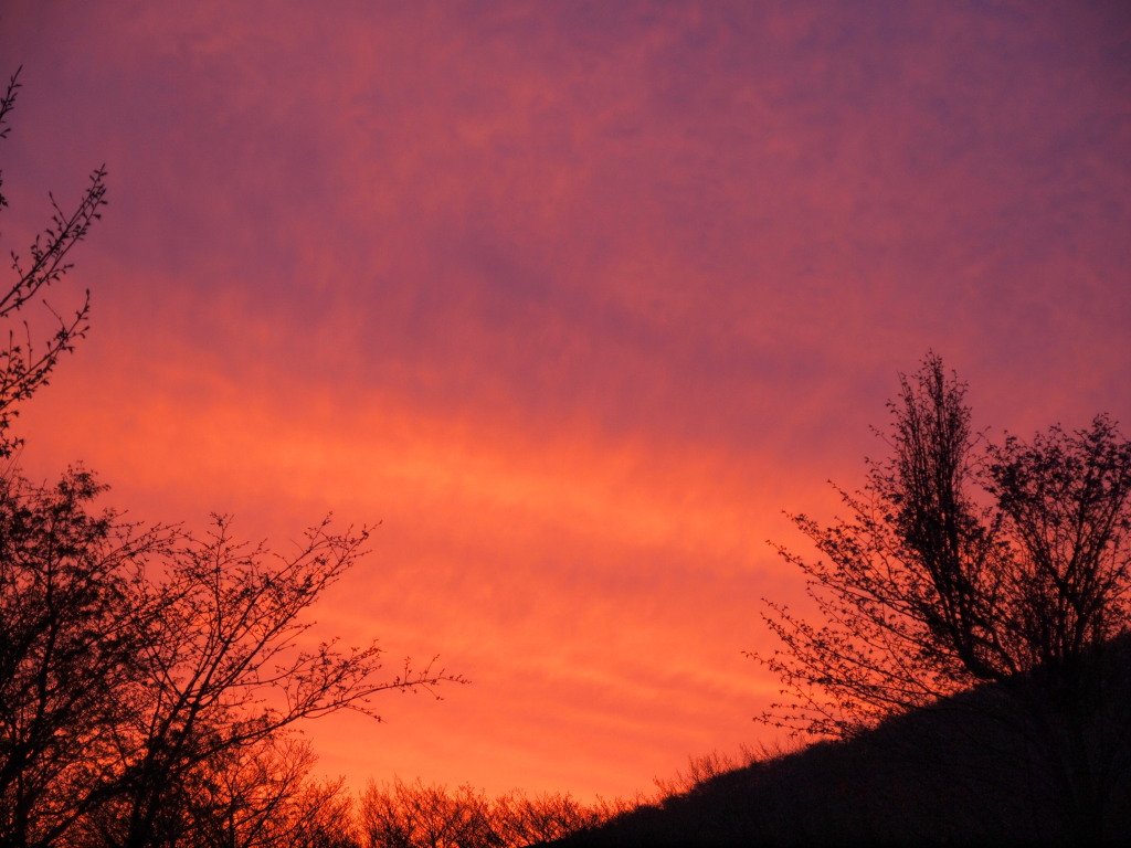 5/9 ���̋�͐^���Ԃ���