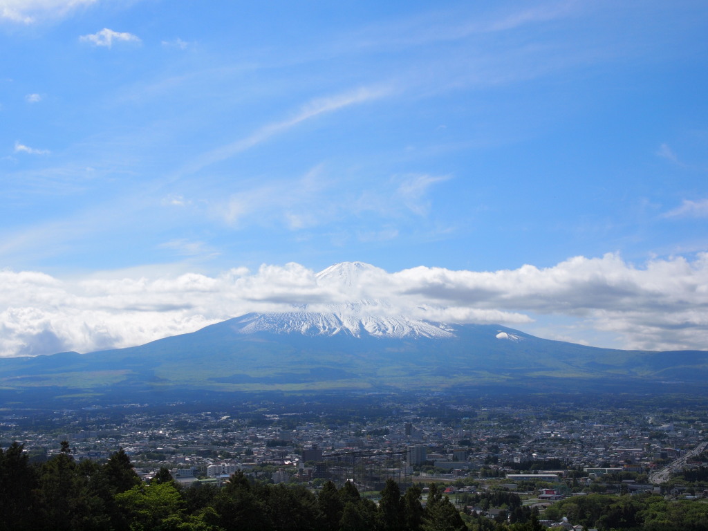 5/24 �J�オ��̕x�m�R