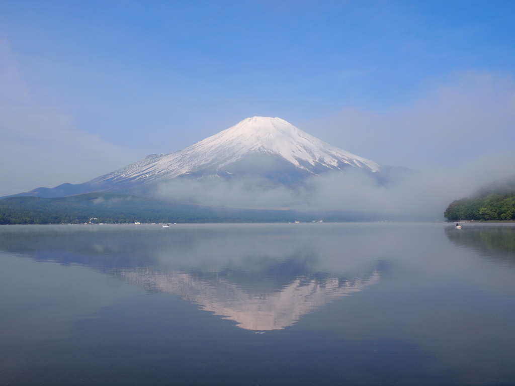 5/25 �K�X������n�߂̋t���x�m