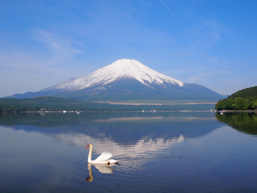 5/25 �����Ƌt���x�m(2)