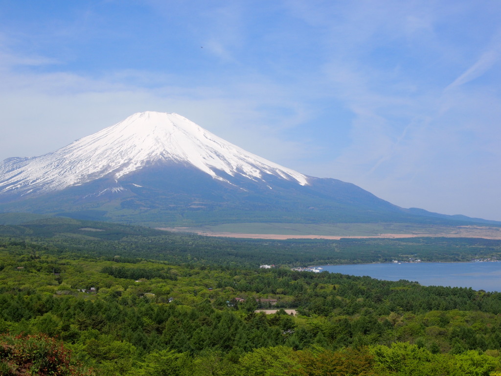 5/25 �V�΂ƕx�m�R