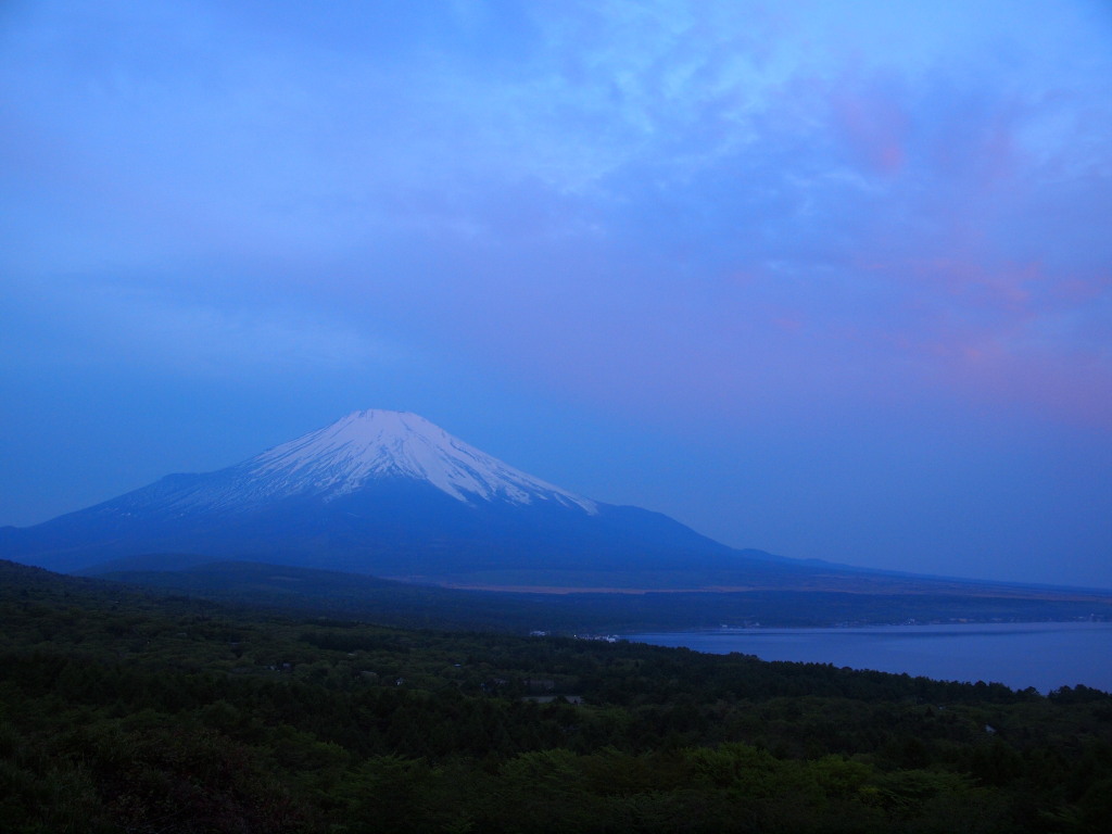 5/26 �ق�̂�g���Ȃ����_�ƕx�m�R