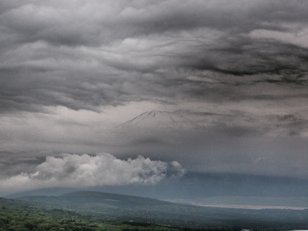 5/26 �_�̒��̕x�m�R��