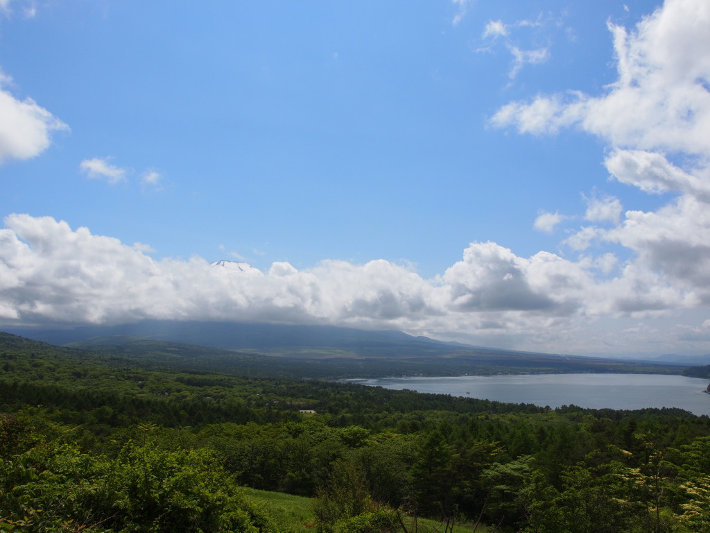 6/8 �V�΂ƕx�m�R��