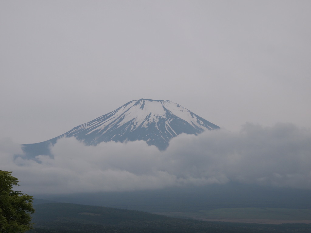 6/12 �ܓ��ӂ�̕x�m�R