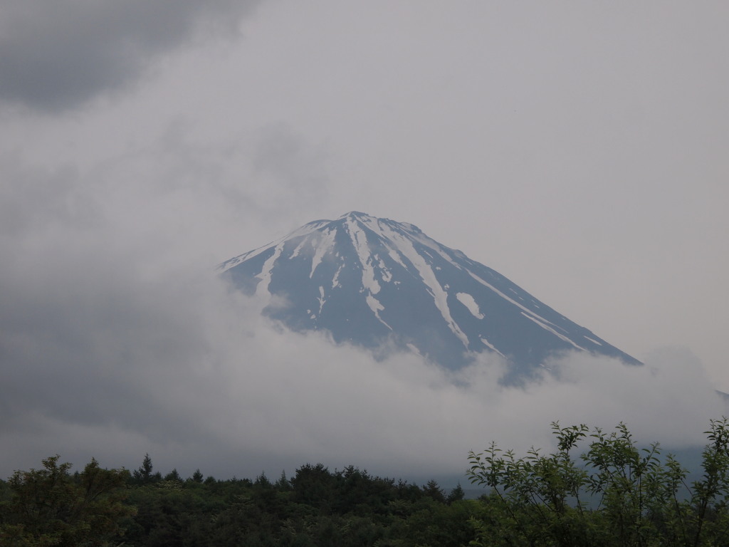 6/12 �򂩂�̕x�m�R