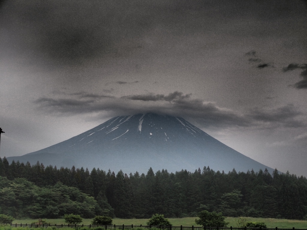 6/12 ������������̕x�m�R