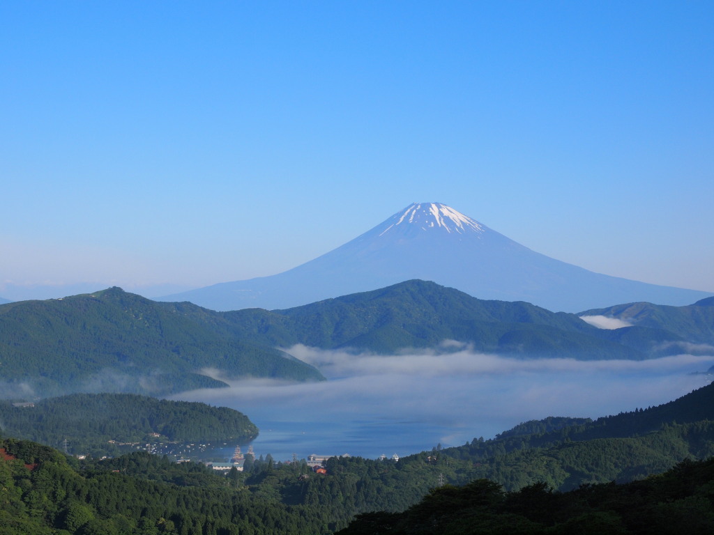 6/22 ���m�΂ƕx�m�R