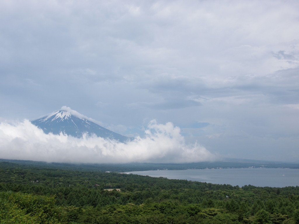 6/23 �悤�₭�������x�m�R