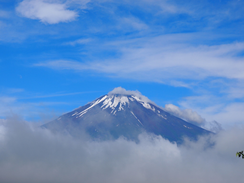 6/24 �R�����������x�m�R