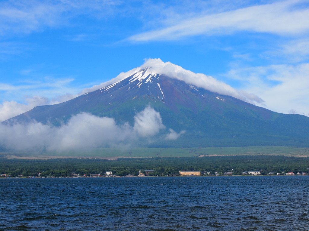 6/24 ���r����̕x�m�R