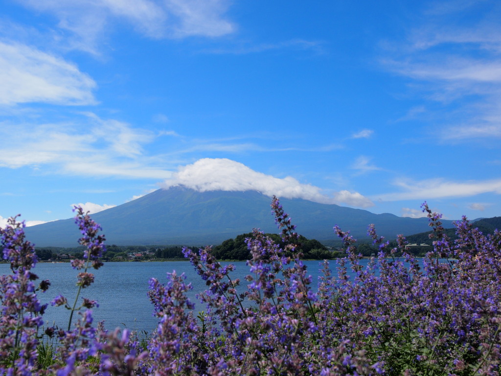 6/24 ���x���_�[�ƕx�m�R