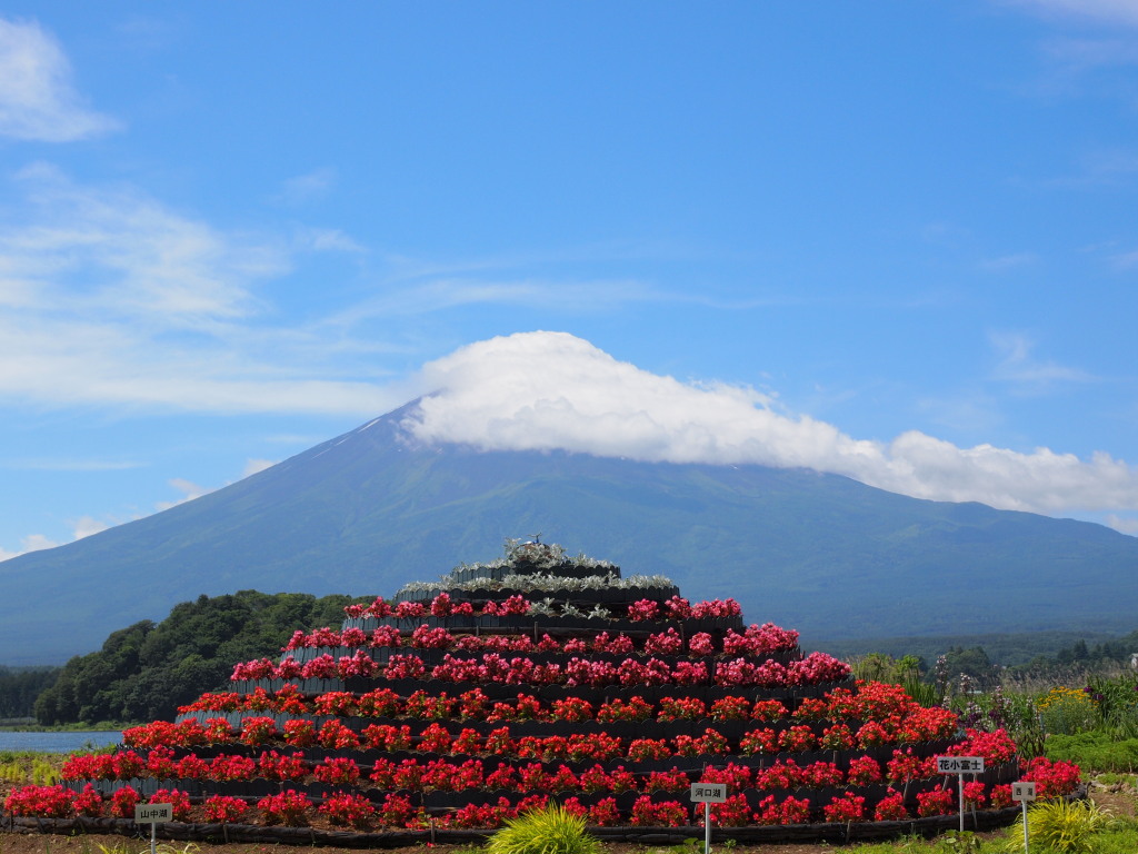 6/24 �q�x�m�ƕx�m�R