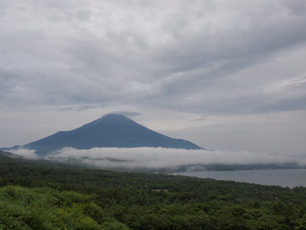 7/8 �J�オ��̕x�m�R