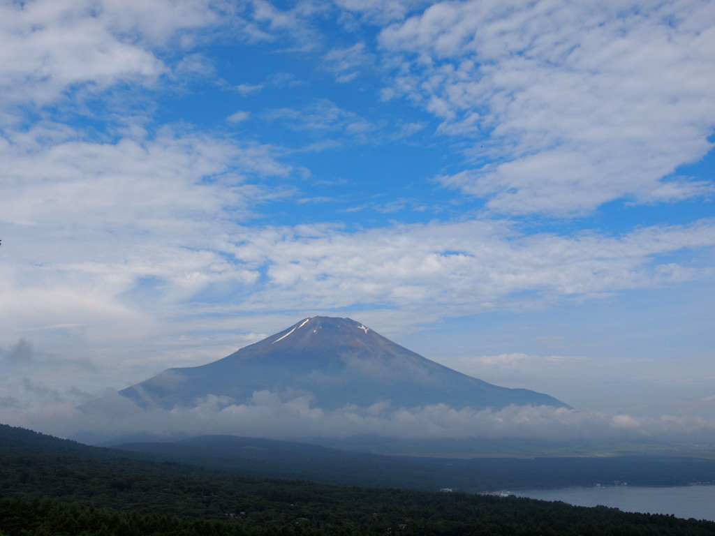 7/9 �_�ƕx�m�R