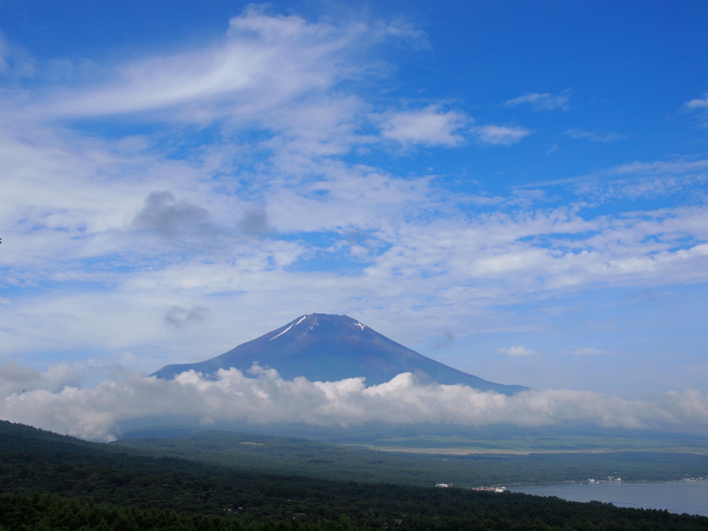 7/9 �_�ƕx�m�R(2)