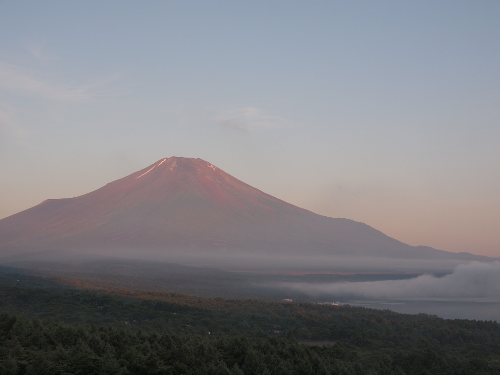 7/11 �ق�̂�ԕx�m