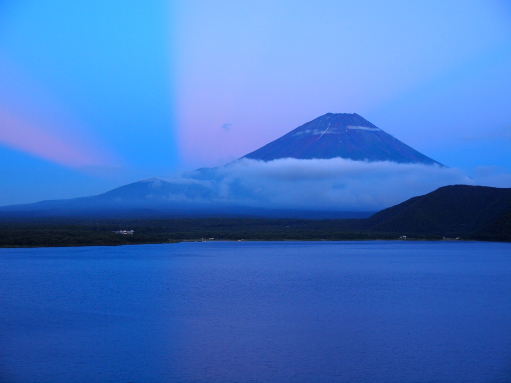 7/11 ��Ă��ƕx�m�R