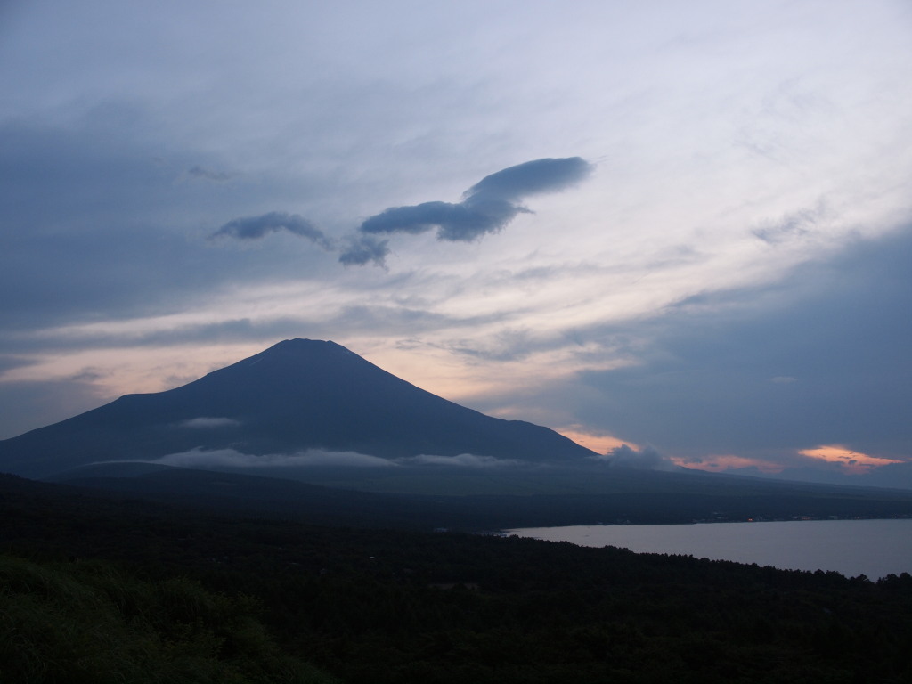 7/26 �R���h���ƕx�m�R