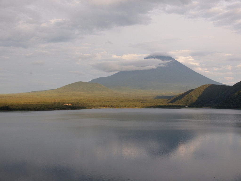 7/28 ���z��������Ă����x�m�R