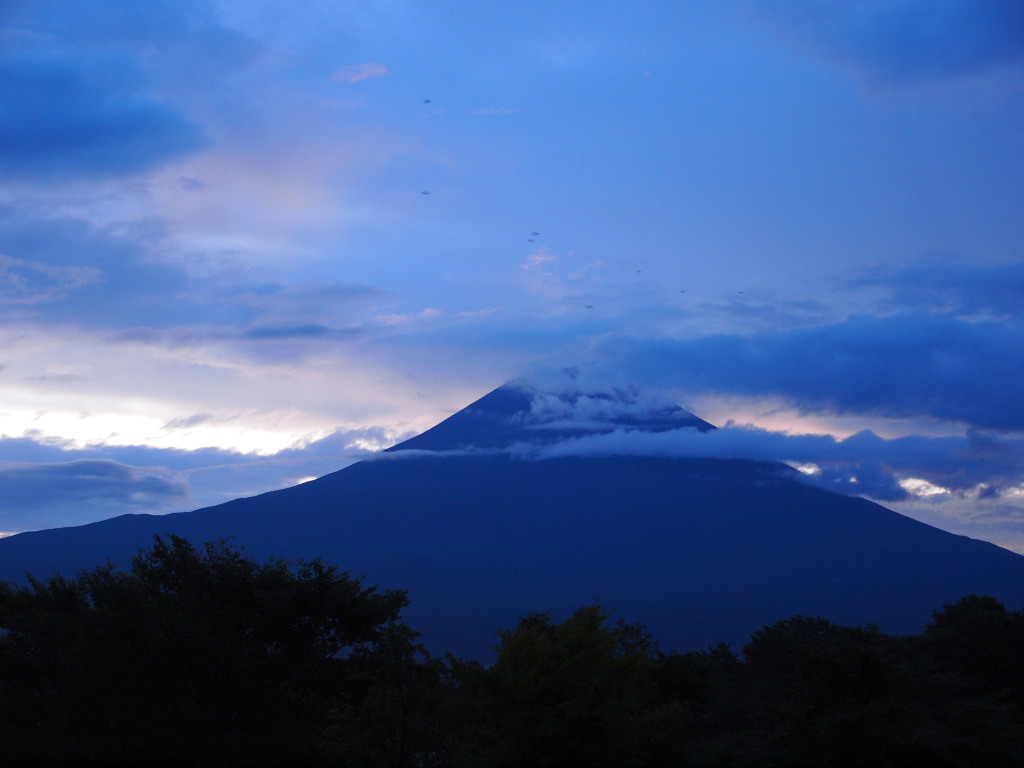 7/31 �c�ь΂���̕x�m�R