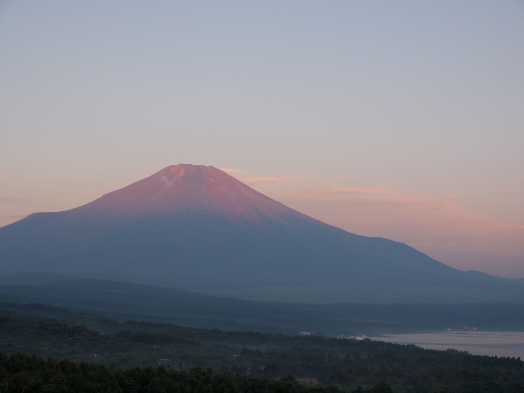 8/11 �ق�̂�g�x�m